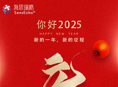 2025，元旦快乐 喜迎蛇年！